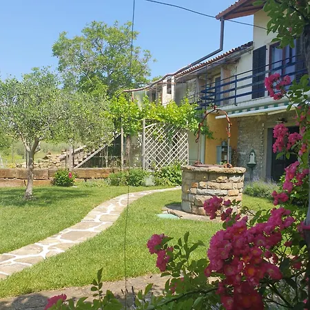 Relax House 科佩尔