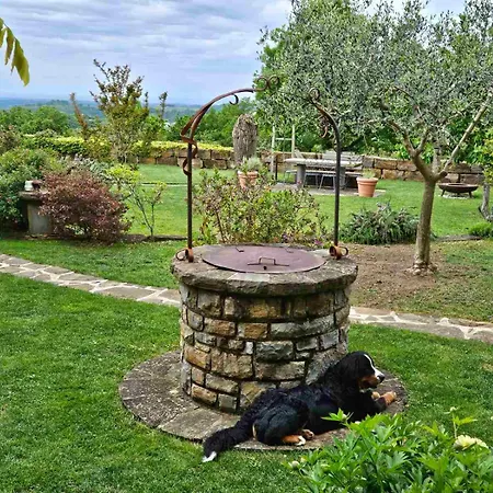 Relax House * Koper